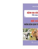 Bệnh gia súc Việt Nam: Phần 1