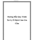 Hướng Dẫn Quy Trình Xử Lý Ổ Dịch Cúm Gia Cầm