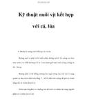 Kỹ thuật nuôi vịt kết hợp với cá, lúa