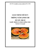 Giáo trình Trồng nấm linh chi - MĐ05: Trồng và nhân giống nấm