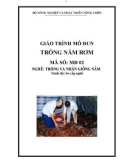 Giáo trình Trồng nấm rơm - MĐ02: Trồng và nhân giống nấm