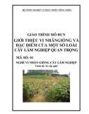 Giáo trình Giới thiệu vi nhân giống và đặc điểm của một số loài cây lâm nghiệp quan trọng - MĐ01: Vi nhân giống cây lâm nghiệp