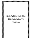 Các kinh Nghiệm Nuôi Tôm Thẻ Chân Trắng Tại Thái Lan