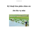 Kỹ thuật bón phân chăm sóc cho lúa vụ mùa