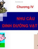 Bài giảng Dinh dưỡng động vật: Chương 4 - TS. Lê Việt Phương