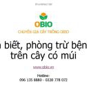 Bài giảng Nhận biết, phòng trừ bệnh hại trên cây có múi