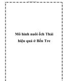 Mô hình nuôi ếch Thái hiệu quả ở Bến Tre