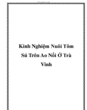 Kinh Nghiệm Nuôi Tôm Sú Trên Ao Nổi Ở Trà Vinh