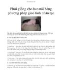 Phối giống cho heo nái bằng phương pháp gieo tinh nhân tạo