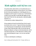 Kinh nghiệm nuôi bộ heo con