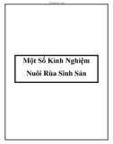 Một Số Kinh Nghiệm Nuôi Rùa Sinh Sản