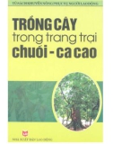 Kỹ thuật trồng cây trong trang trại chuối ca cao: Phần 1