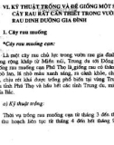 Chăm sóc Vườn rau dinh dưỡng gia đình: Phần 2