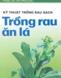 Kỹ thuật trồng rau sạch: Trồng rau ăn lá - PGS.TS Tạ Thu Cúc