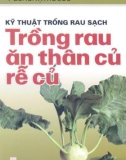 Kỹ thuật trồng rau sạch – Trồng rau ăn thân củ, rễ củ