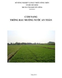 Cẩm nang Trồng rau muống nước an toàn