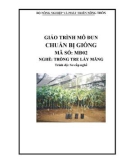 Giáo trình Chuẩn bị giống - MĐ02: Trồng tre lấy măng