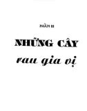 Kỹ thuật gieo trồng và Cây gia vị đặc điểm: Phần 2