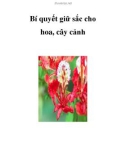 Bí quyết giữ sắc cho hoa, cây cảnh