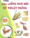 Kỹ thuật trồng các giống ngô mới: Phần 1