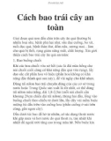 Cách bao trái cây an toàn