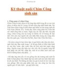 Kỹ thuật nuôi Chim Công sinh sản