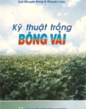 Kỹ thuật trồng bông vải - NXB Nông nghiệp