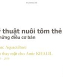 Kỹ thuật nuôi tôm thẻ