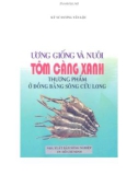 Tôm càng xanh thương phẩm - Cách ương giống và nuôi ở đồng bằng Sông Cửu Long