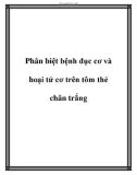 Phân biệt bệnh đục cơ và hoại tử cơ trên tôm thẻ chân trắng