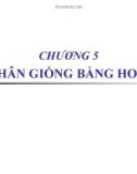 Chương 5 nhân giống bằng hom