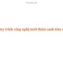 Quy trình công nghệ nuôi thâm canh tôm sú