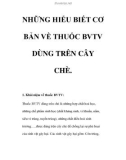 NHỮNG HIỂU BIẾT CƠ BẢN VỀ THUỐC BVTV DÙNG TRÊN CÂY CHÈ.