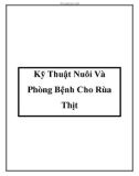 Kỹ Thuật Nuôi Và Phòng Bệnh Cho Rùa Thịt