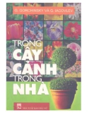 Kỹ thuật trồng cây cảnh trong nhà: Phần 1