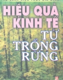 Hiệu quả kinh tế từ trồng rừng