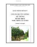 Giáo trình Chuẩn bị cây giống để trồng - MĐ01: Trồng cây có múi