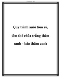 Quy trình nuôi tôm sú, tôm thẻ chân trắng thâm canh - bán thâm canh