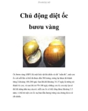 Chủ động diệt ốc bươu vàng