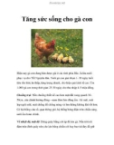 Tăng sức sống cho gà con