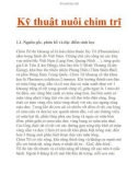 Kỹ thuật nuôi chim trĩ