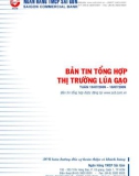 Bản tin tổng hợp thị trường lúa gạo