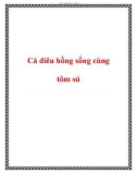 Cách nuôi cá điêu hồng sống cùng tôm sú