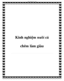 Kinh nghiệm nuôi cá chẽm làm giàu