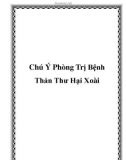 Chú Ý Phòng Trị Bệnh Thán Thư Hại Xoài