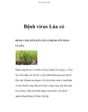 Bệnh virus Lúa cỏ