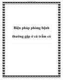 Biện pháp phòng bệnh thường gặp ở cá trắm cỏ