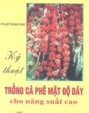 Kỹ thuật trồng cà phê mật độ dày cho năng suất cao part 1