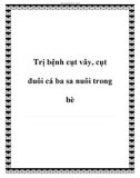 Trị bệnh cụt vây, cụt đuôi cá ba sa nuôi trong bè