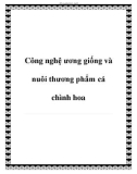 Công nghệ ương giống và nuôi thương phẩm cá chình hoa